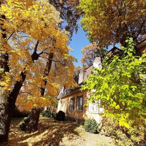 a house with yellow leaves on the trees at Veniki-Club in Vorzelʼ
