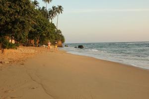 Due persone che camminano sulla spiaggia vicino all'oceano di Moonlit Bay Weligama a Weligama