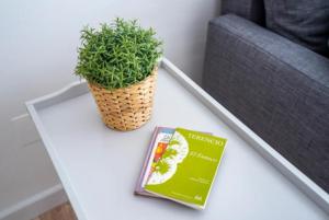Fotografia z galérie ubytovania Apartamento MINAGA 2 v destinácii Nerja