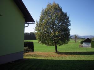 Gallery image of Haus Luisi in Hitzendorf