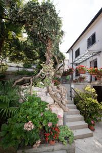 a stone stairway with a tree and some flowers at Vacation home, Ferienhaus KLAUDIA in Kraj, Mošćenička Draga near Opatija in Mošćenička Draga