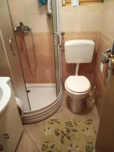 a small bathroom with a toilet and a shower at Jana in Bukovac +14 photos