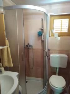 a bathroom with a shower with a toilet and a sink at Jana in Bukovac