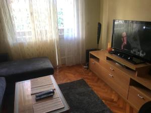 Televízia a/alebo spoločenská miestnosť v ubytovaní Andrea Holiday Home