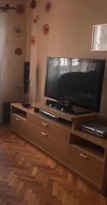 Televízia a/alebo spoločenská miestnosť v ubytovaní Andrea Holiday Home