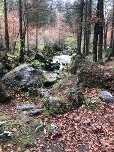 Príroda v okolí apartmánu