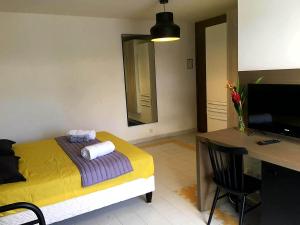 โทรทัศน์และ/หรือระบบความบันเทิงของ Studio Methys des Iles -Manganao Saint françois 971
