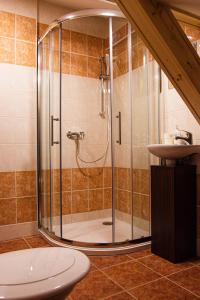 a bathroom with a shower and a toilet and a sink at Penzion Poruba in Ostrava