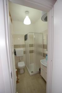 ein Bad mit einer Dusche, einem WC und einem Waschbecken in der Unterkunft Casetta Margret in Boiano