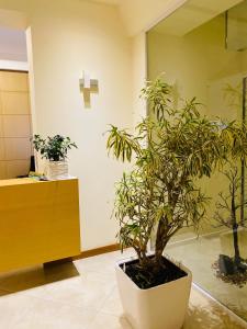 a potted plant in a room with a cross on the wall at Grand White City Hotel in Berat