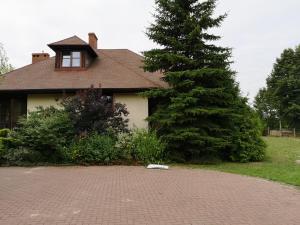 dom z drzewem obok ceglanego podjazdu w obiekcie Apartamenty Fenix w Kazimierzu Dolnym