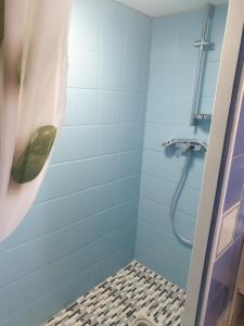 a bathroom with a shower with a cucumber on thevisor at T1 Dans Maison Au Calme in Réalmont