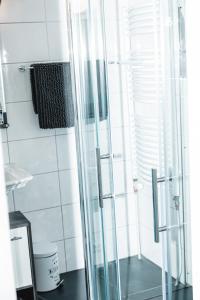 La salle de bains est pourvue d'une douche avec une porte en verre. dans l'établissement Feierabend Elsdorf, à Elsdorf