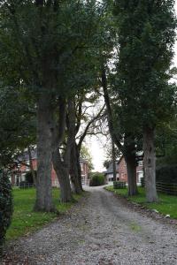 un chemin de terre bordé d'arbres dans un champ dans l'établissement Woodleighton Cottages, à Uttoxeter