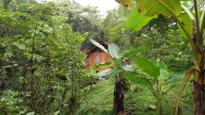 a cabin in the middle of a forest at Alya Jungle Casitas in San Juanillo