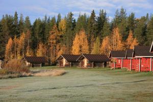 a herd of cattle grazing on a lush green field at Korvala log cabins in Korvala