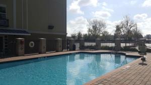 una gran piscina frente a un edificio en Holiday Inn Express Jacksonville East, an IHG Hotel, en Jacksonville