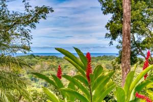 a view of the ocean from the forest with red flowers at Hotel Casa Conley Del Mar in Puerto Viejo