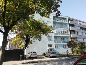 budynek z samochodami zaparkowanymi przed nim w obiekcie Apartment B44 w Zagrzebiu