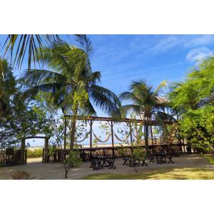 a group of benches and palm trees in a park at Pousada Casa do Wolf in São Miguel do Gostoso