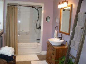 a bathroom with a shower and a sink at MellowOut B&B in Lion's Head