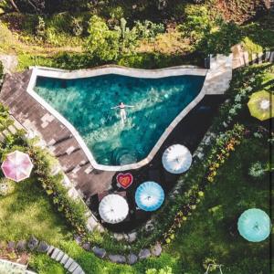 una vista aérea de una persona nadando en una piscina en The Jungle Villa Family, en Ubud