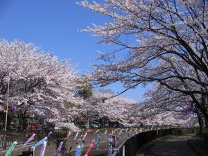 Fotografie z fotogalerie ubytování 館林グランドホテル v destinaci Tatebayashi + 11 fotografií
