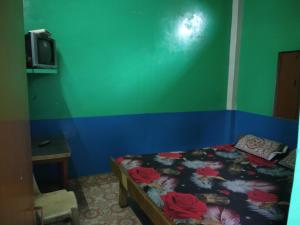 a bedroom with a bed and a green and blue wall at Hotel Yatri Niwas in Varanasi