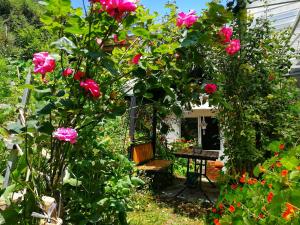 a garden with roses and a bench in front of a house at Kangding Guozhuang Nan Wu Hao Boutique Inn in Kangding
