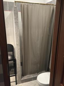 een badkamer met een douche, een toilet en een kruk bij Apartament PIĘKNA in Warschau