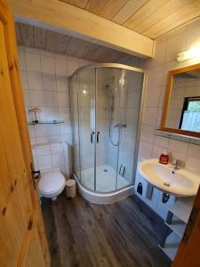 a bathroom with a shower and a toilet and a sink at Ferienhaeuser Auszeit am Grossen Labussee in Userin