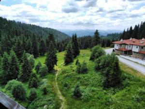 an aerial view of a field with trees and a house at Apartment Viki Pamporovo in Pamporovo