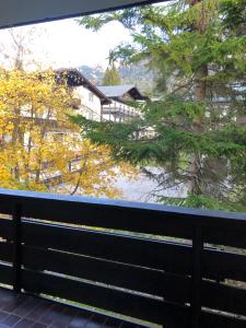 Un paisaje natural cerca del departamento