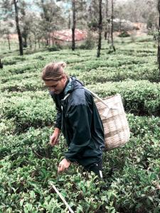 Gäste, die in der Unterkunft Lost & Found Hostels - Mandaramnuwara übernachten