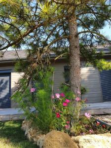 Ảnh trong thư viện ảnh của Cosy Wood House ở Laubressel +39 ảnh