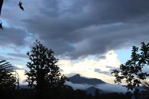 Vista generica sulle montagne o vista sulle montagne dall'interno della stanza in casa privata