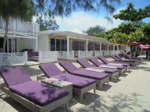 a row of purple lounge chairs in front of a building at Gili Meno Mojo Beach Resort in Gili Meno