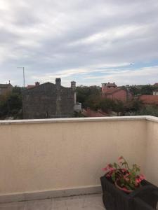 Fotografie z fotogalerie ubytování Apartmani Luiza v destinaci Cres