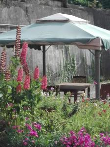 Billede fra billedgalleriet på La Torretta bed & breakfast i Torriglia