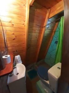 a bathroom with a toilet and a sink in a room at Cabañas "Los Elementos", San Carlos, Salta, in San Carlos
