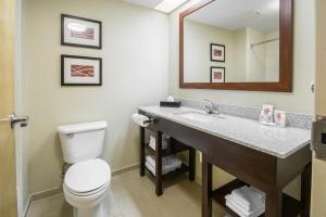 Bilik mandi di Comfort Inn & Suites DeLand - near University