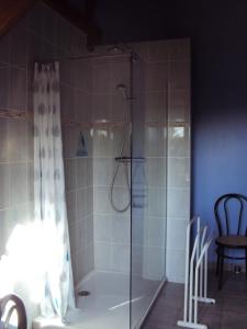 La Halte de Chambord في Mur-de-Sologne: حمام مع دش مع باب زجاجي
