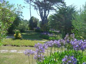Gallery image of Solar Do Magoito in Sintra
