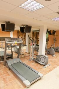 Fitness centrum a/nebo fitness zařízení v ubytování Kronos Hotel
