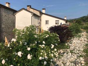 Un jardín fuera de Casadelsale