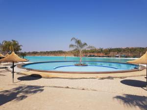 a large pool with a palm tree in the middle at The Blyde Crystal Lagoon Cologne3 in Greenview