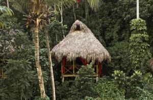 Fotografie z fotogalerie ubytování Dominican Tree House Village v destinaci El Valle