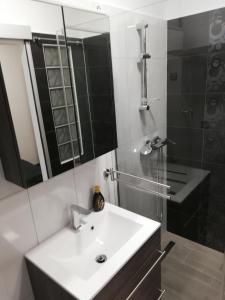 Bilik mandi di Pete Lajos Design Apartman +47 gambar