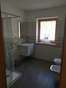 uma casa de banho com um lavatório, um chuveiro e uma janela. em All'Amicizia em Santo Stefano di Cadore