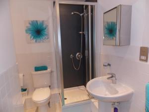 uma casa de banho com um chuveiro, um WC e um lavatório. em Waterside Apartment em Lancaster